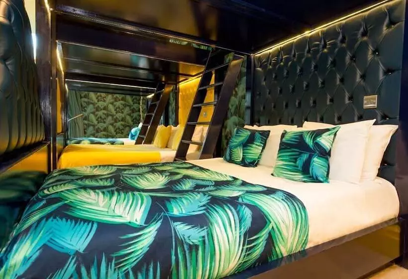 Standard-huone, The Shankly