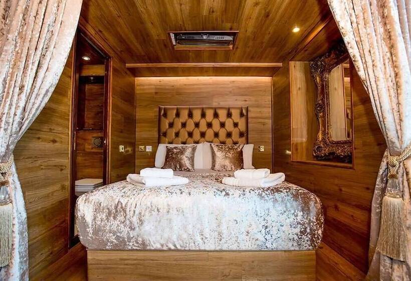 스탠다드 룸, The Shankly