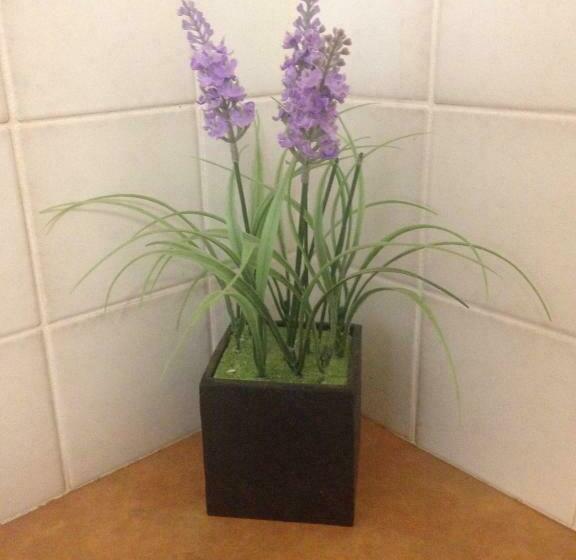 Семейный Номер, The Nosh & Nod Avon Terrace