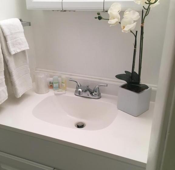 غرفه قياسيه سريرين مزدوجين, Clarence Inn Extended Stay