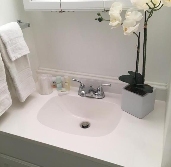 غرفه قياسيه سريرين مزدوجين, Clarence Inn Extended Stay