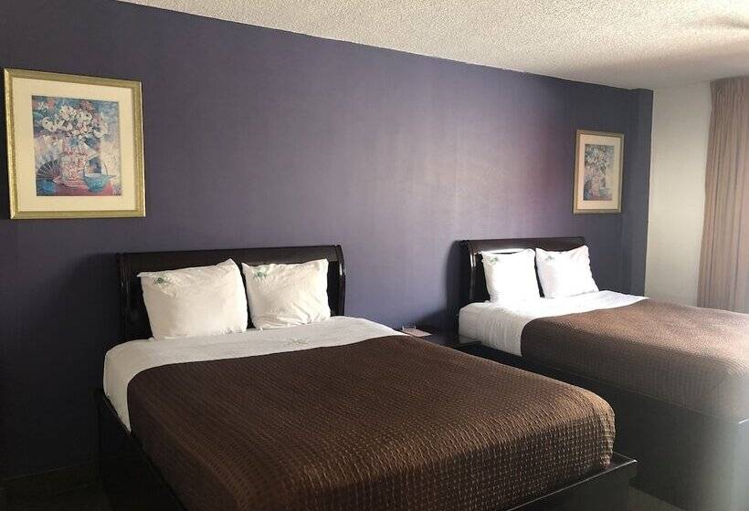 스탠다드 룸, Bugambilias