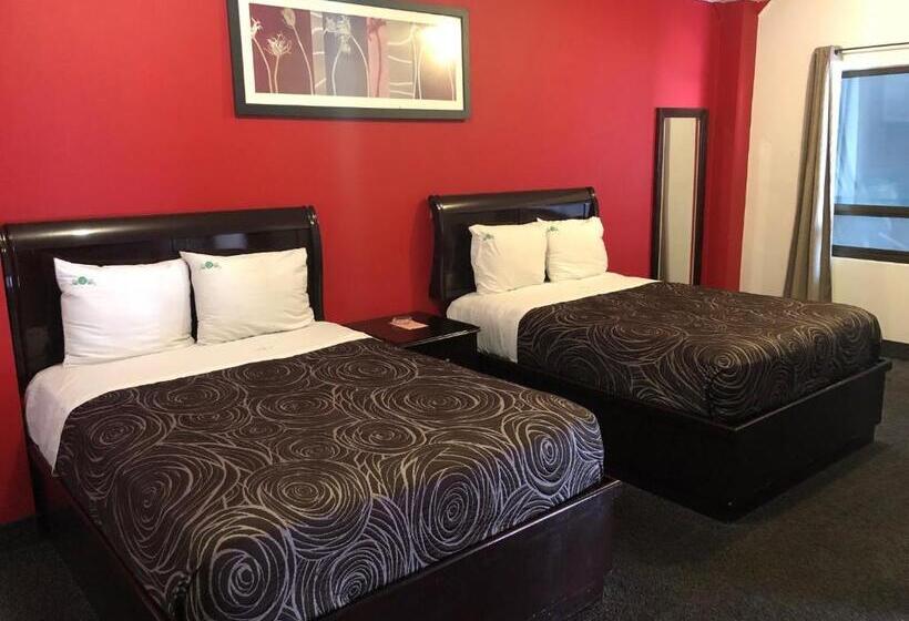 스탠다드 룸, Bugambilias