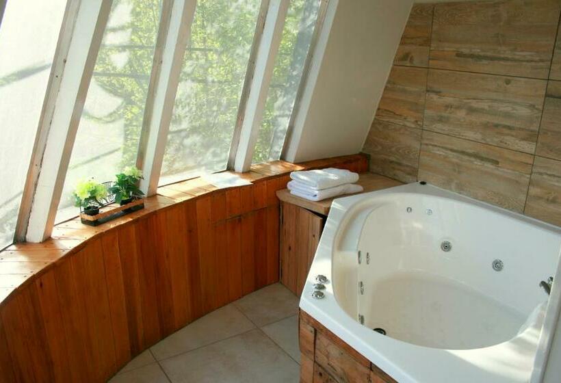 اتاق لوکس, Tirol D'andrea