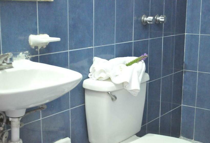 スタンダードルーム, Viena