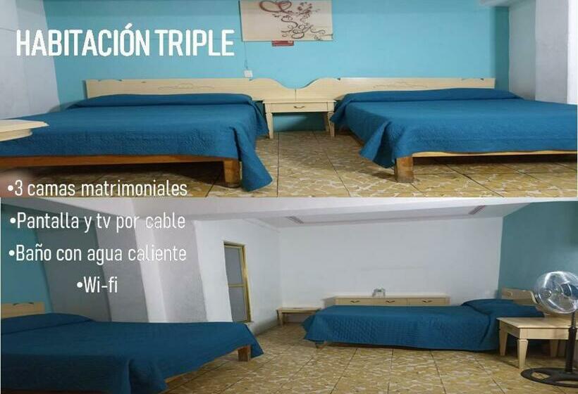 ファミリールーム, Viena