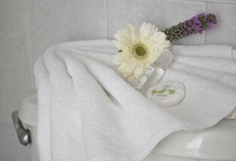 スタンダード4人部屋, Viena