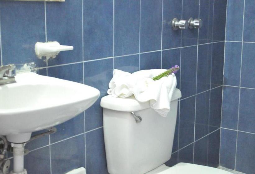 スタンダードシングルルーム, Viena