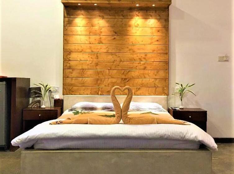 Habitació Estàndard, Gomez Place