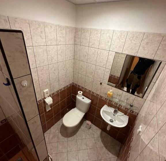 غرفة عائلية مطلّة علي الحديقة, Penzión Michaela Vyhne