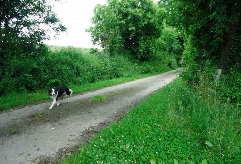 家庭间, Cabane Familiale Tout Confort Avec Jardin, Animaux, Piscine Chauffée Et étangs à Saint Thomas De Cou