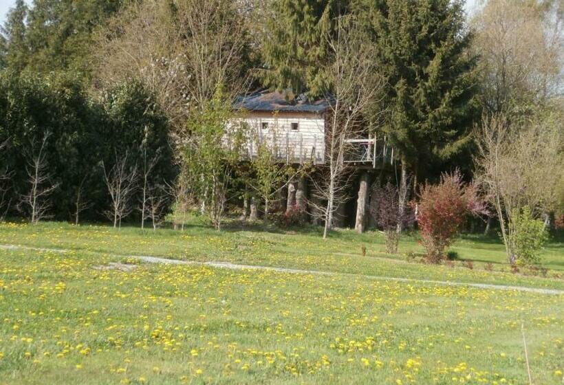 Семейный Номер, Cabane Familiale Tout Confort Avec Jardin, Animaux, Piscine Chauffée Et étangs à Saint Thomas De Cou