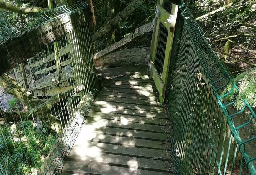 家庭间, Cabane Familiale Tout Confort Avec Jardin, Animaux, Piscine Chauffée Et étangs à Saint Thomas De Cou