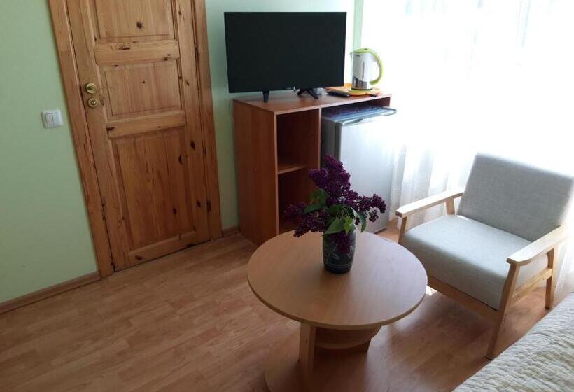 اتاق استاندارد, Mociutes Palanga