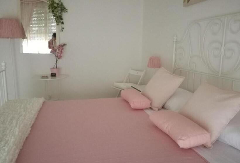 آپارتمان سوپریور 1 خوابه, La Casa Di Isabella Loreto