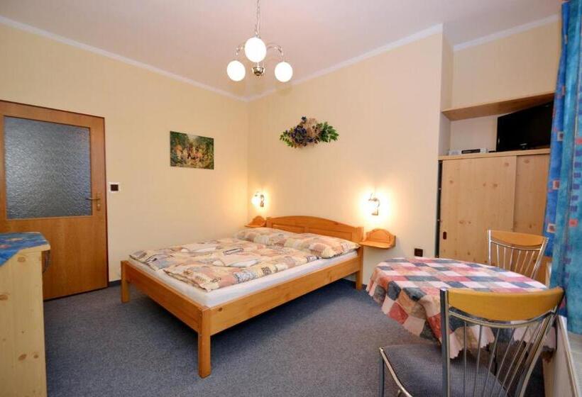 Номер Стандарт Кровать Кинг Адаптированный для Инвалидов, Apartmány Florian