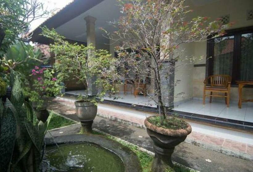 Номер Стандарт, Jiwa S House