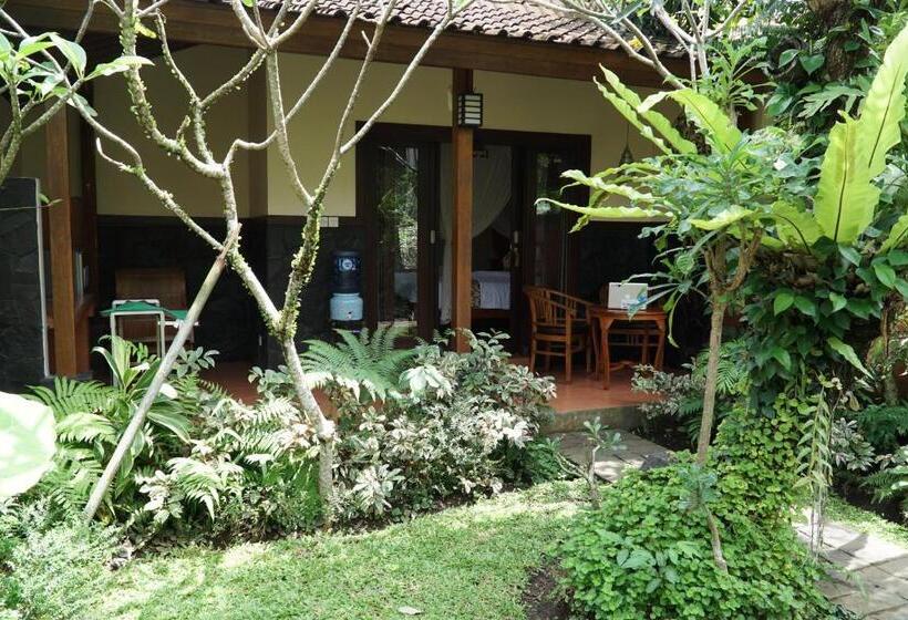 غرفة إقتصادية, Jiwa S House