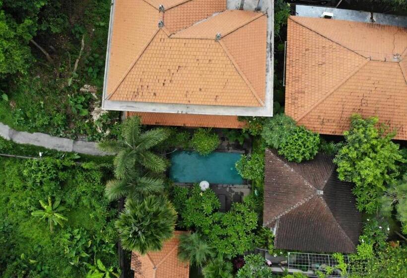 غرفة قياسية مطلّة علي حمام السباحة, Jiwa S House