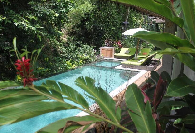 스탠다드 방갈로, Maylie Bali Villa & Bungalows