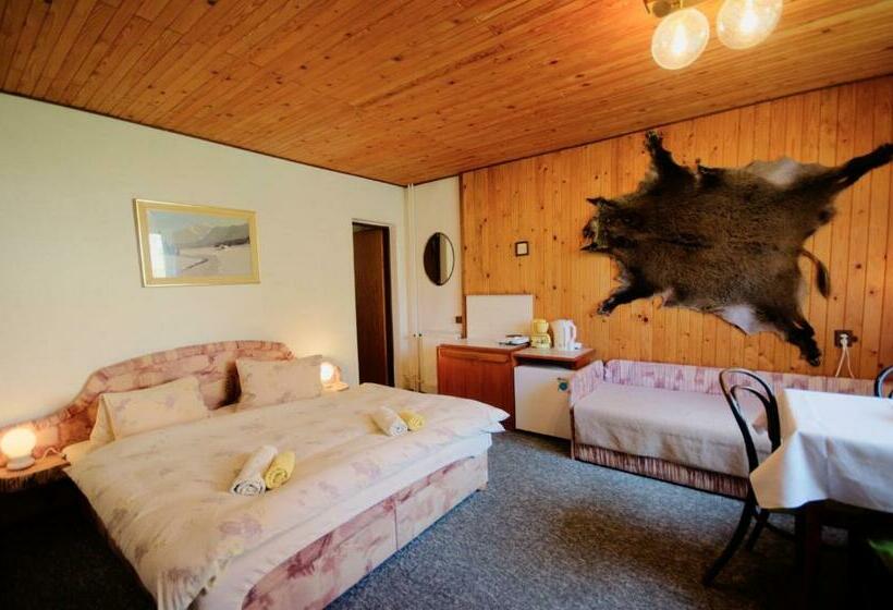 חדר סטנדרט לשלושה, Penzion Ivana