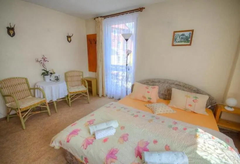 Standard-huone, Penzion Ivana