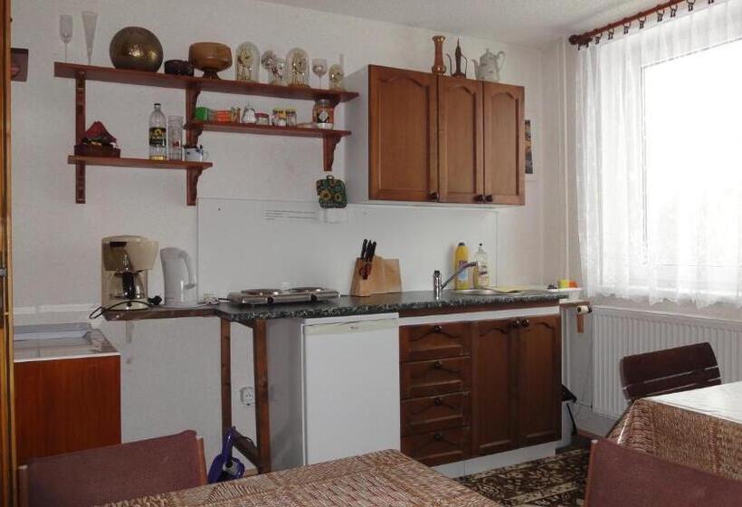 חדר סטנדרט, Penzion Ivana