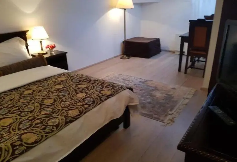 اتاق سوپریور, Vila Leonida   Resort Leonida