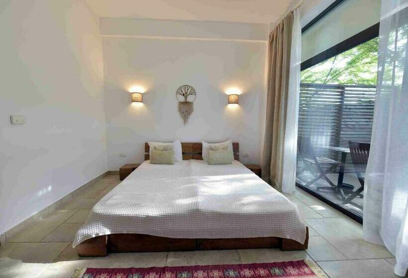 اتاق استاندارد با تراس, Zen Vama Veche