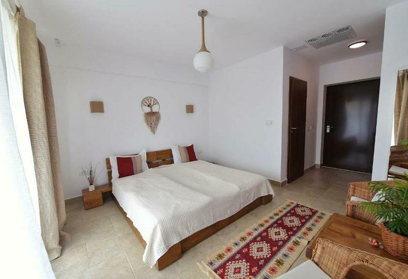 اتاق استاندارد با تراس, Zen Vama Veche