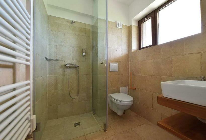 اتاق استاندارد با تراس, Zen Vama Veche