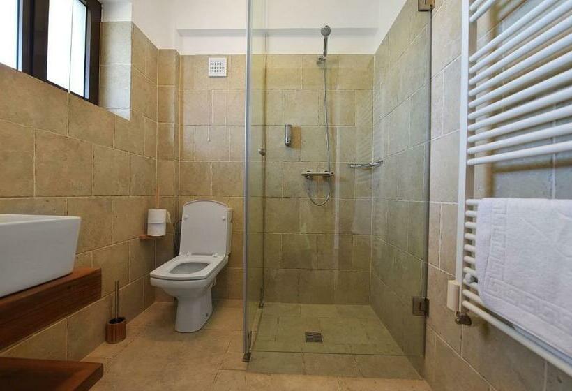 اتاق استاندارد با تراس, Zen Vama Veche