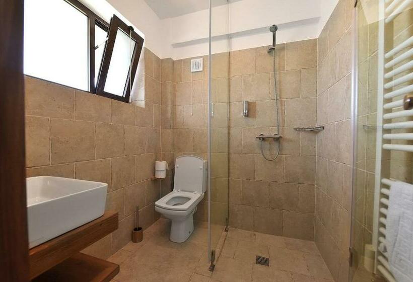 اتاق استاندارد با تراس, Zen Vama Veche