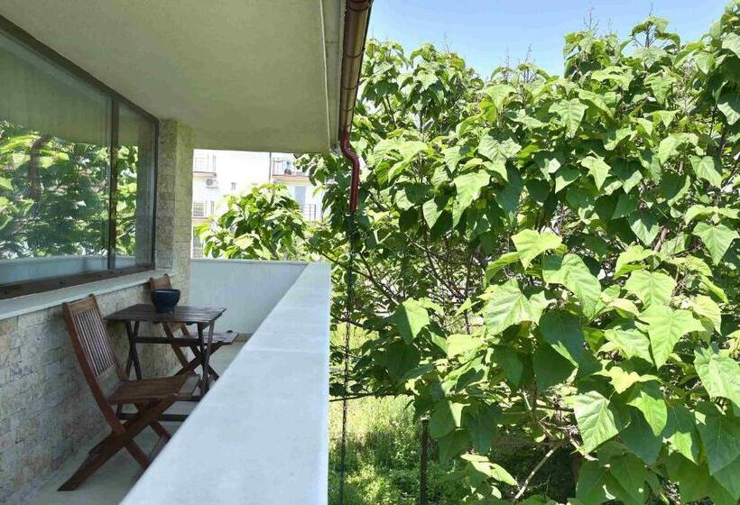 اتاق استاندارد با بالکن, Zen Vama Veche