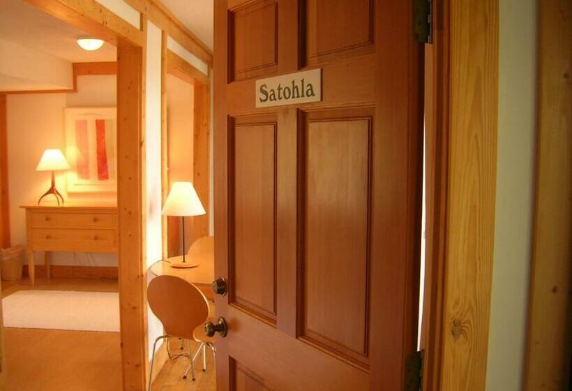 带1个卧室的高级公寓, Fire Mountain Resort