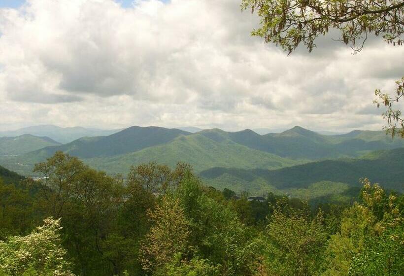 带1个卧室的高级公寓, Fire Mountain Resort