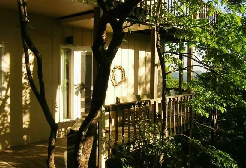 デラックスルーム, Fire Mountain Resort