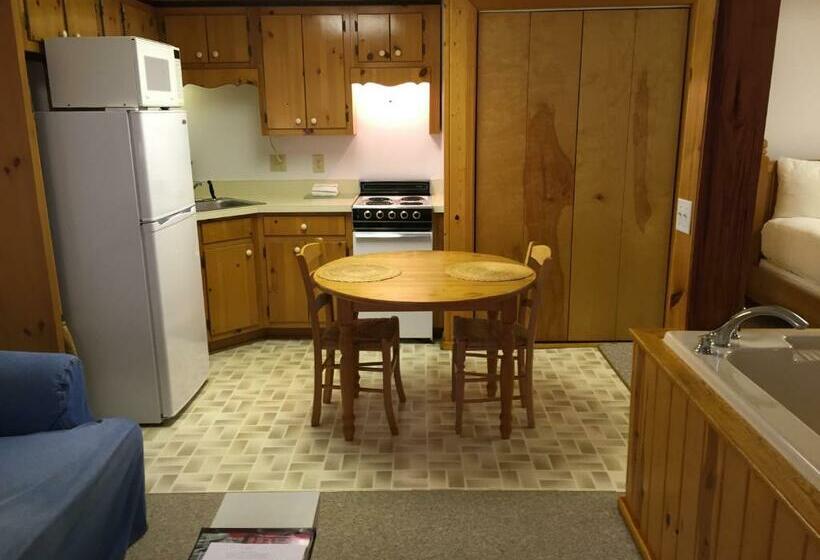 带1个卧室的公寓, Fire Mountain Resort