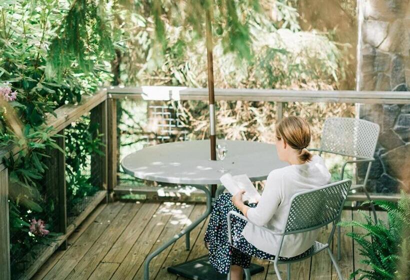 带1个卧室带观景的公寓, Fire Mountain Resort