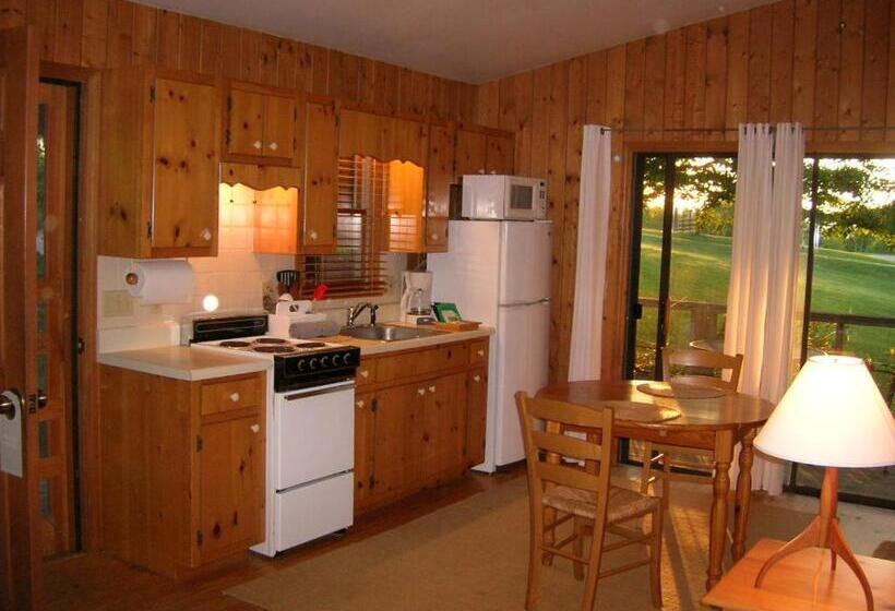 带1个卧室带观景的公寓, Fire Mountain Resort