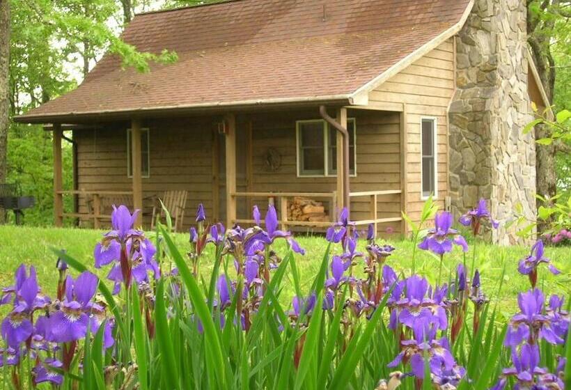 带1个卧室的高级公寓, Fire Mountain Resort