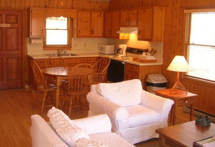 带1个卧室的豪华公寓, Fire Mountain Resort