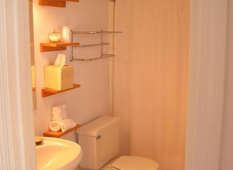 带1个卧室的公寓, Fire Mountain Resort