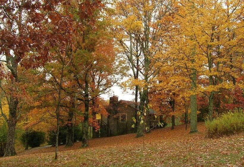 带1个卧室的豪华公寓, Fire Mountain Resort