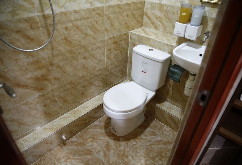 اتاق استاندارد سه نفره, Sandhu Guest House