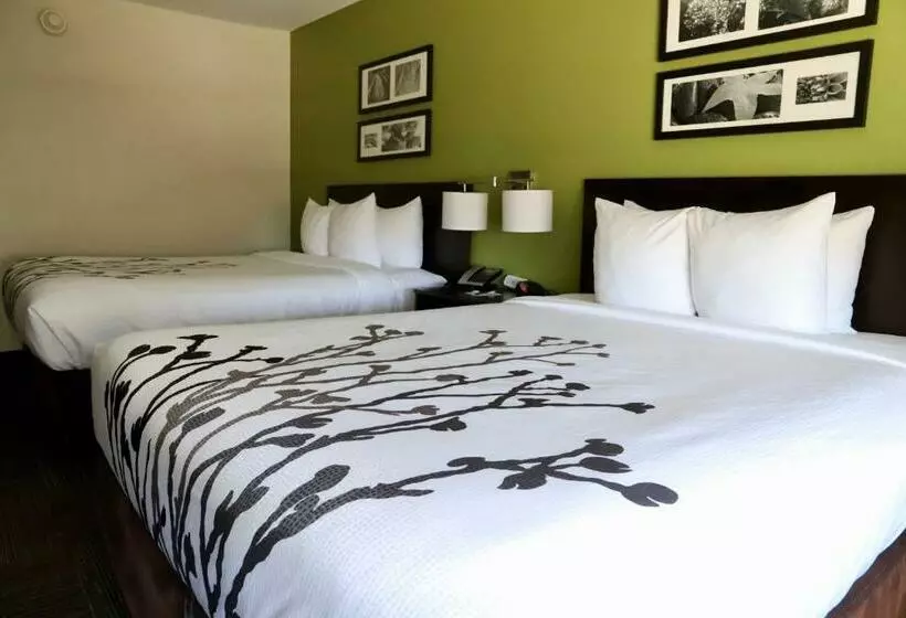 スタンダードルーム, Sleep Inn & Suites Belmont   St. Clairsville