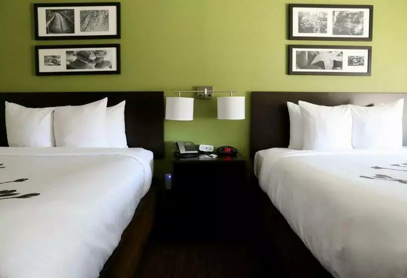 スタンダードルーム, Sleep Inn & Suites Belmont   St. Clairsville