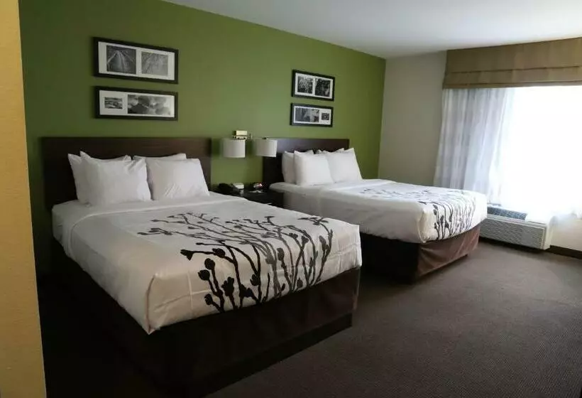 スタンダードルーム, Sleep Inn & Suites Belmont   St. Clairsville