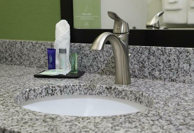 غرفة قياسية سرير كينج, Sleep Inn & Suites Belmont   St. Clairsville