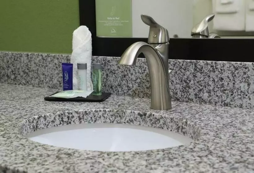 キングサイズベッドのスタンダードルーム, Sleep Inn & Suites Belmont   St. Clairsville